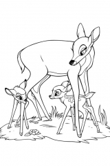 Bambi-26