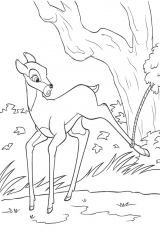 Bambi-74