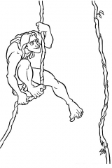 Tarzan-56